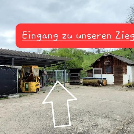 Ferienwohnung/Monteurzimmer Auf Dem Bauernhof Mörlenbach Exteriér fotografie
